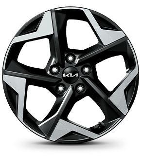 kia-seltos-wheel-all-view-17